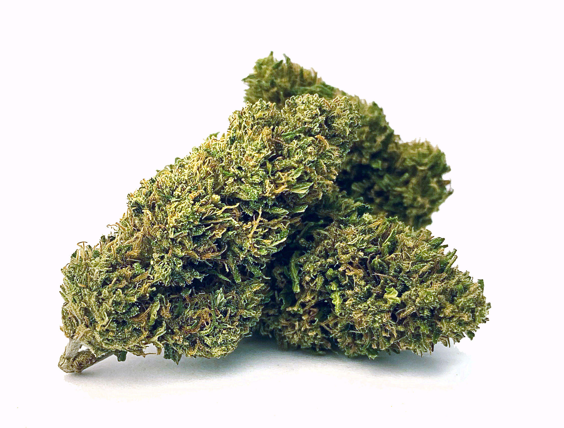 Mountain Mango Premium Hemp Flower